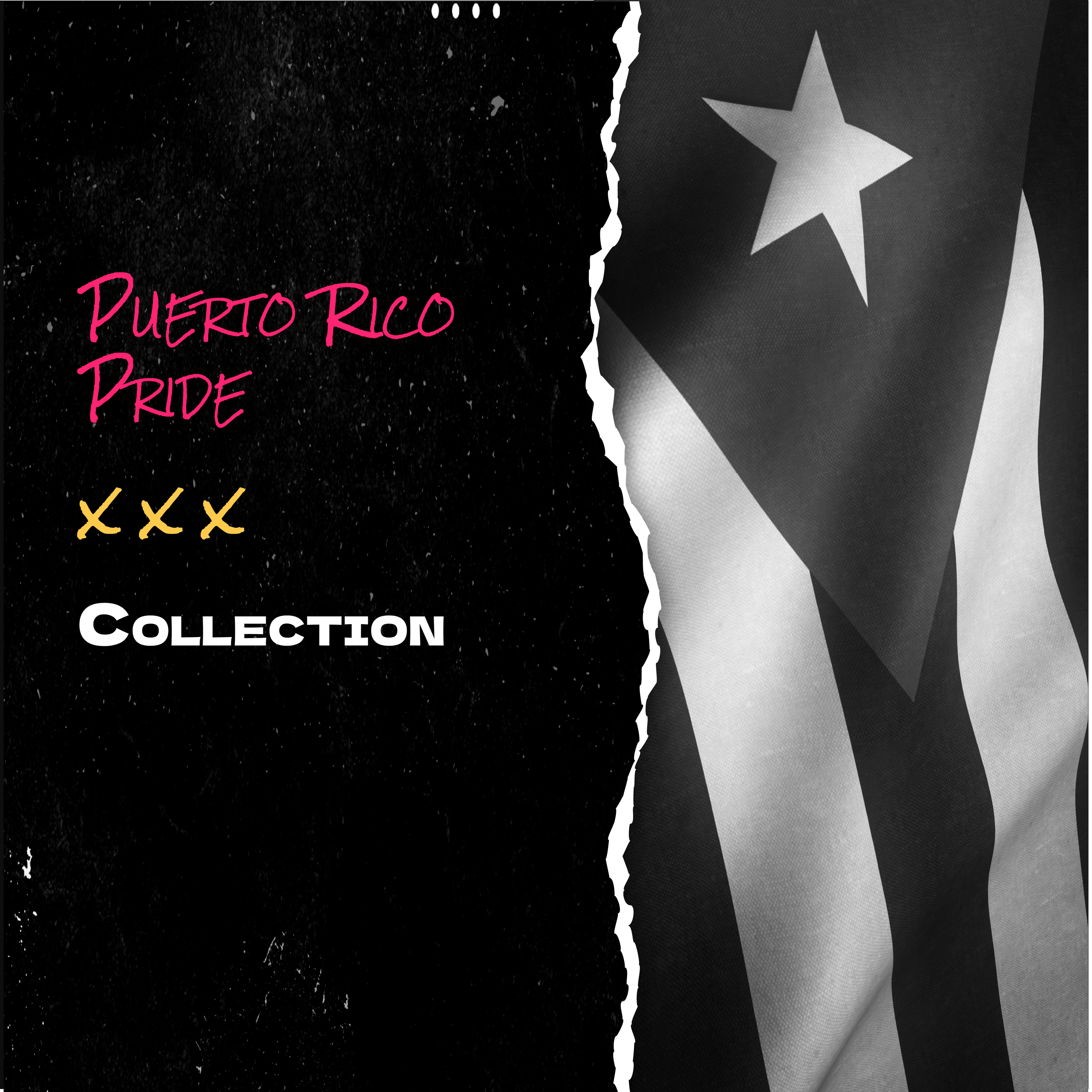 Puerto Rico Pride - trudesigns.shop